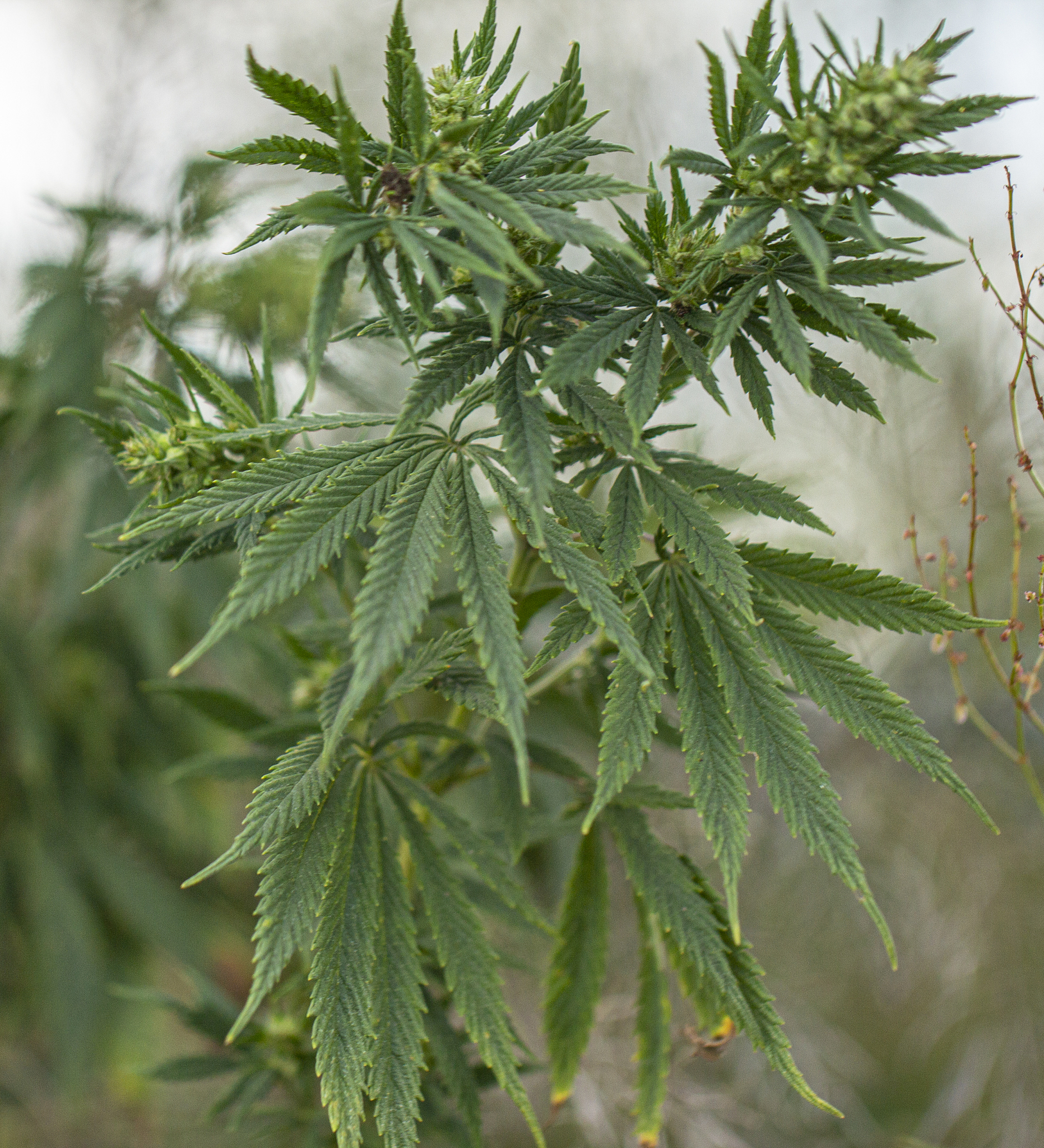 甘肃种子生产与经营专业中专中职学校推荐