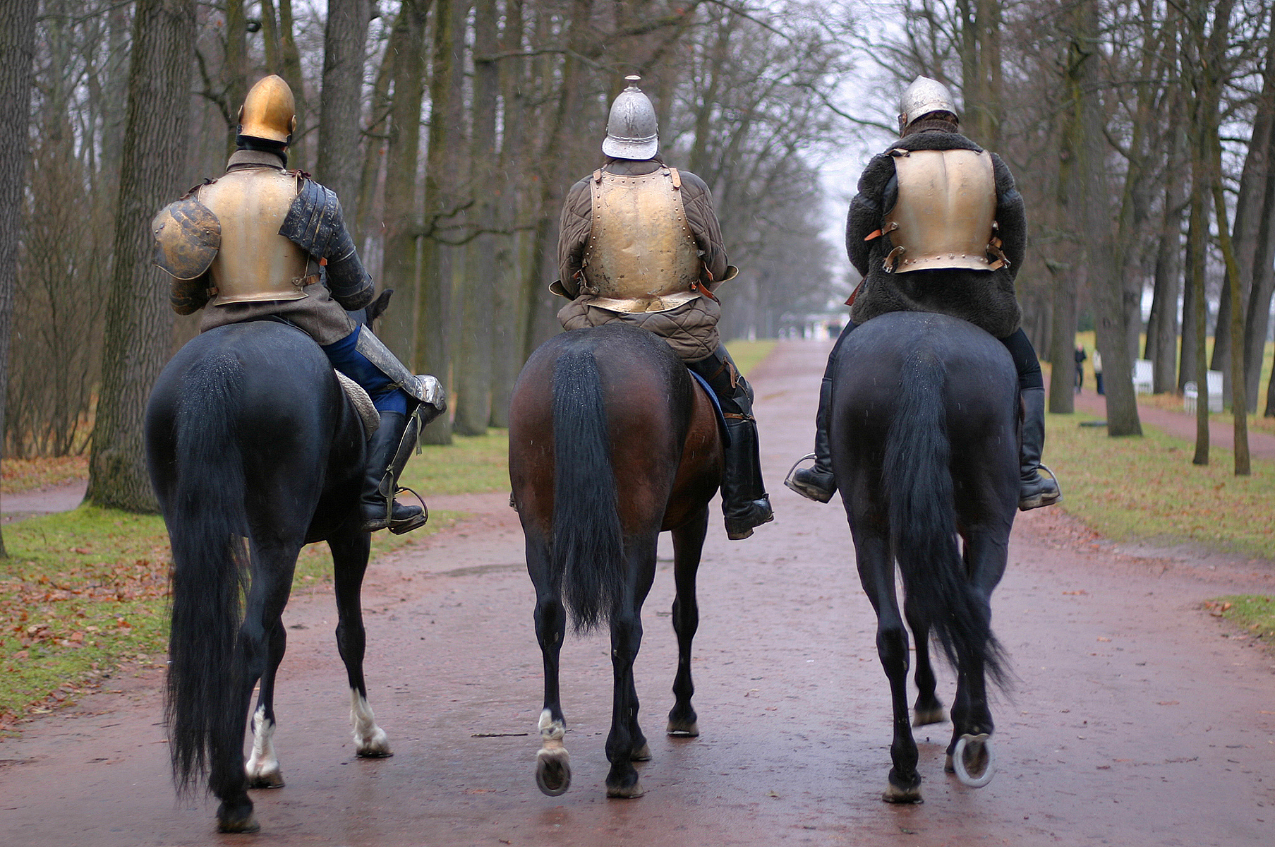three ridersdjj