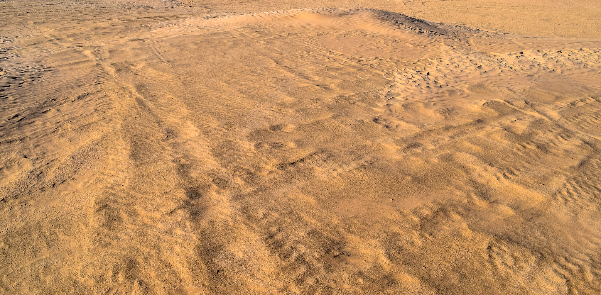 gold color desert and golden sands of sahara. texture, wallpaper
