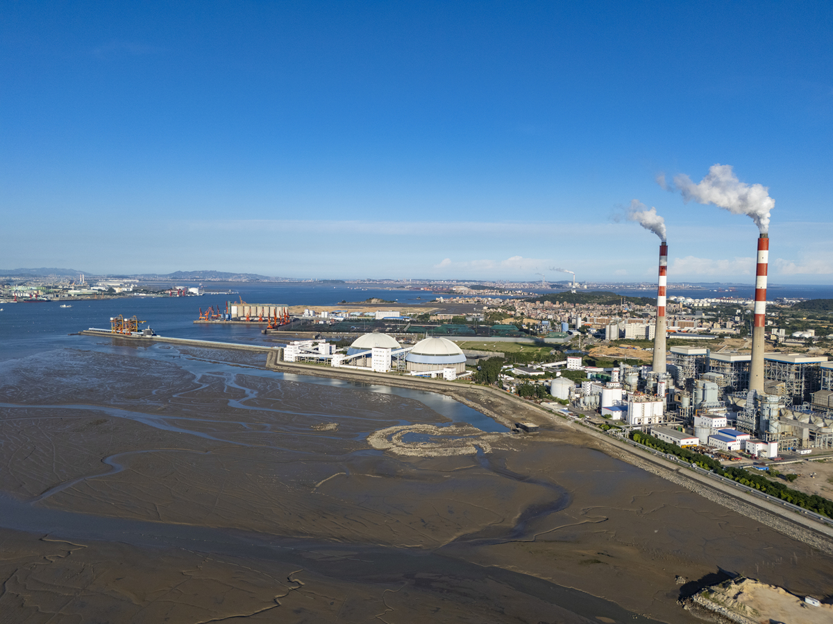 青岛李沧钢厂环境影响分析：空气、水、噪音和土壤污染