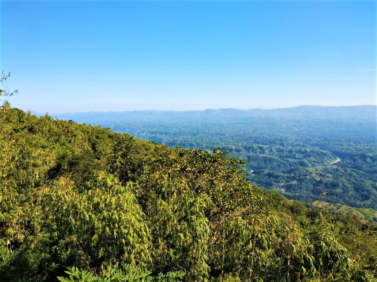 今天和大家聊聊江夏八分山,一个武汉的小众宝藏,让你感受大自然的独特