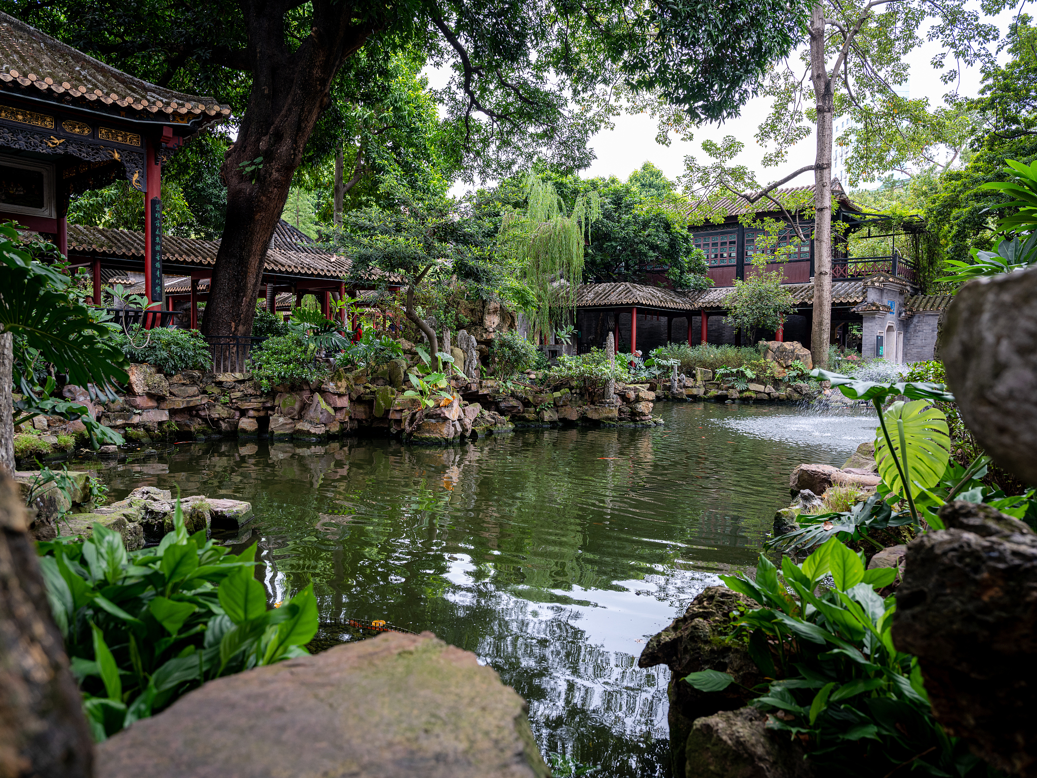 苏州清晖园：古典园林的精致与文化底蕴