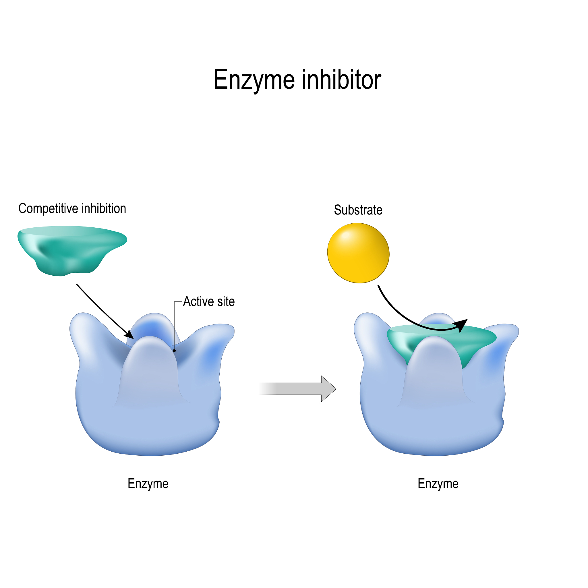 调节作用是负向的什么意思