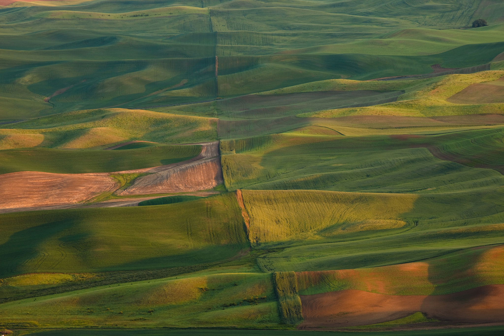 rolling hills of farmland