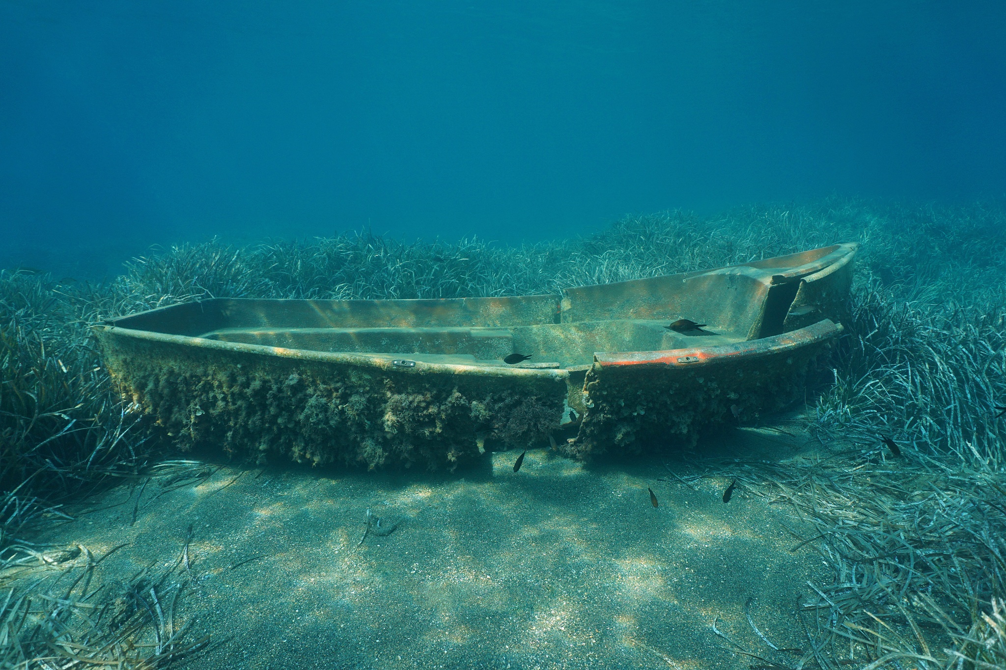 a small wrecked boat underwater on the seabed