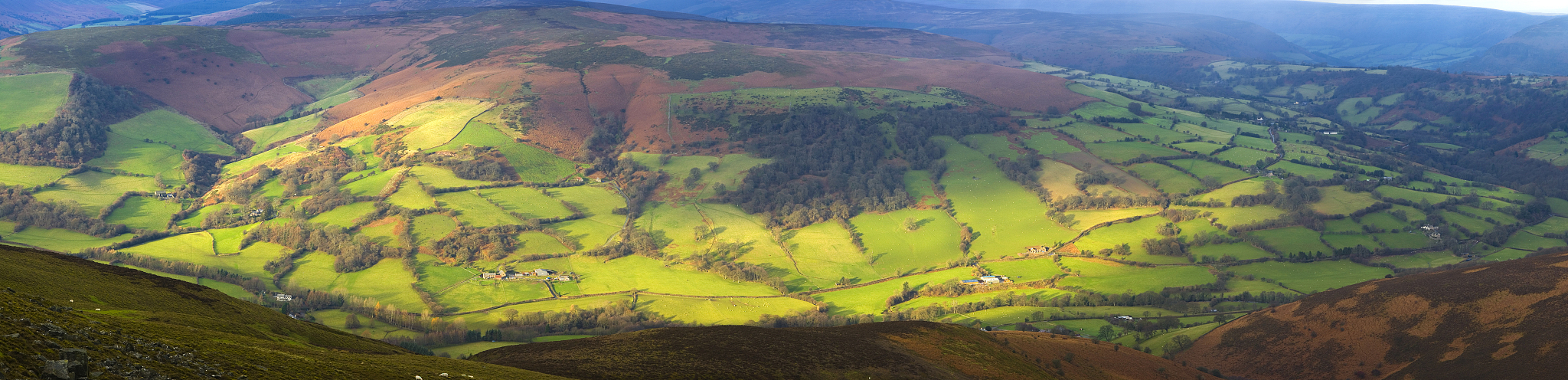 green fields, farmhouses, sunlight