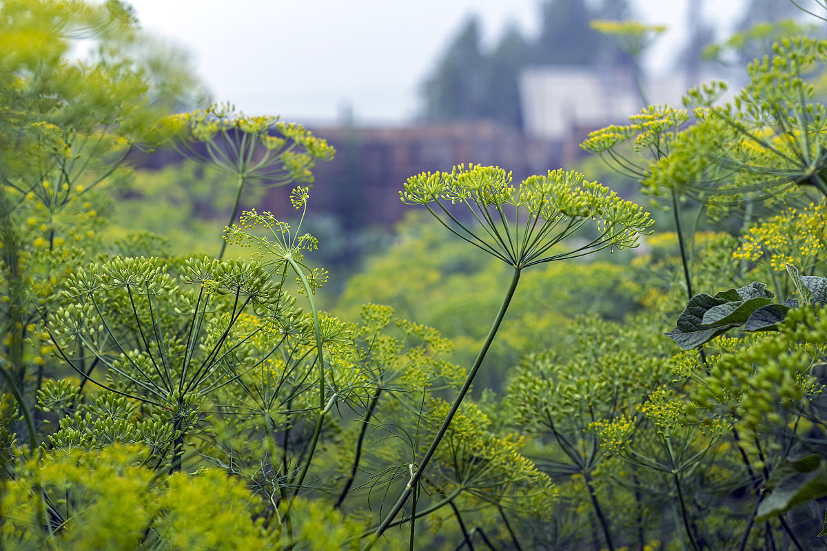 肇庆市农业学校2023年招生简章-怎么样