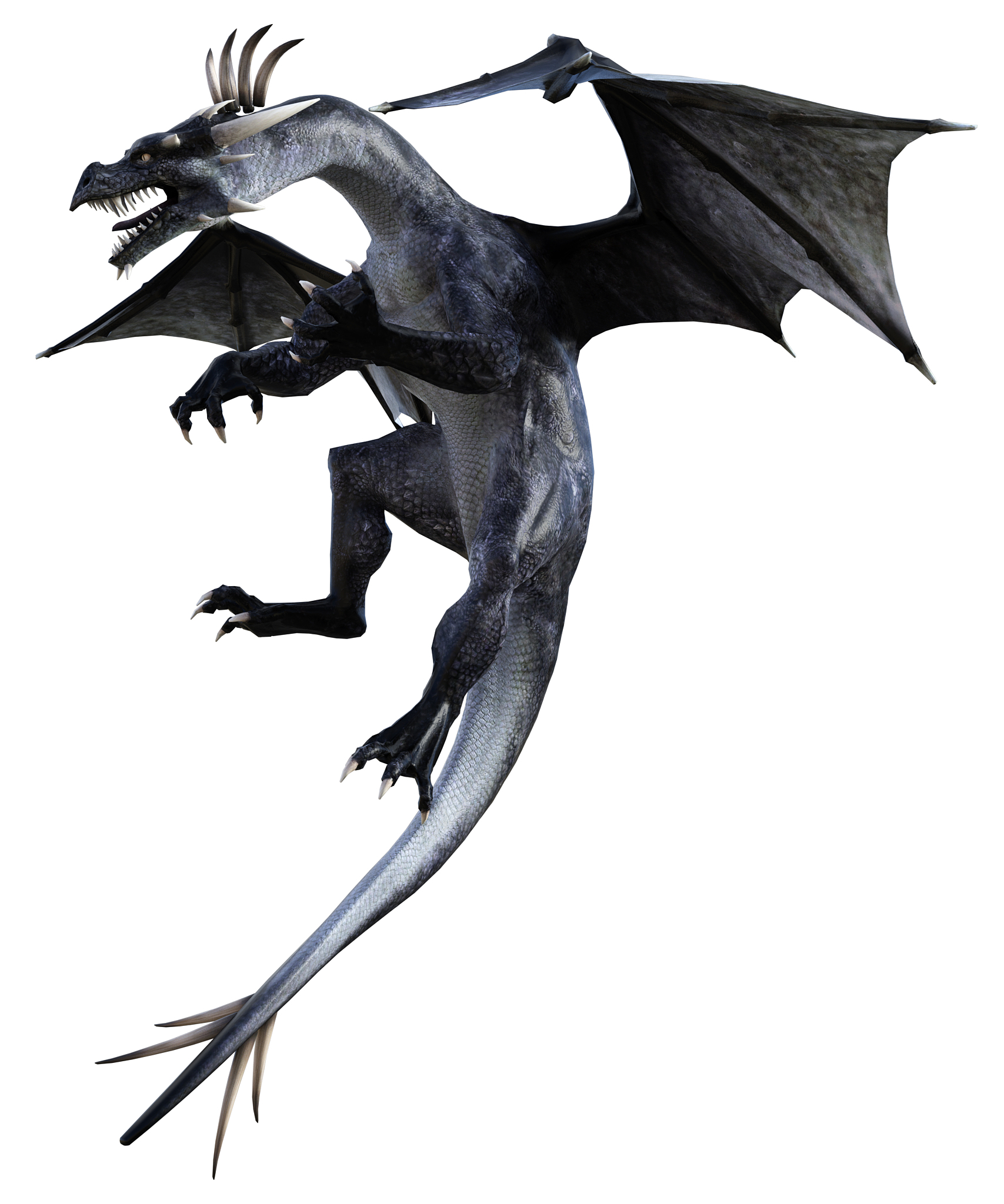 dragon isolated on white, 3d render.