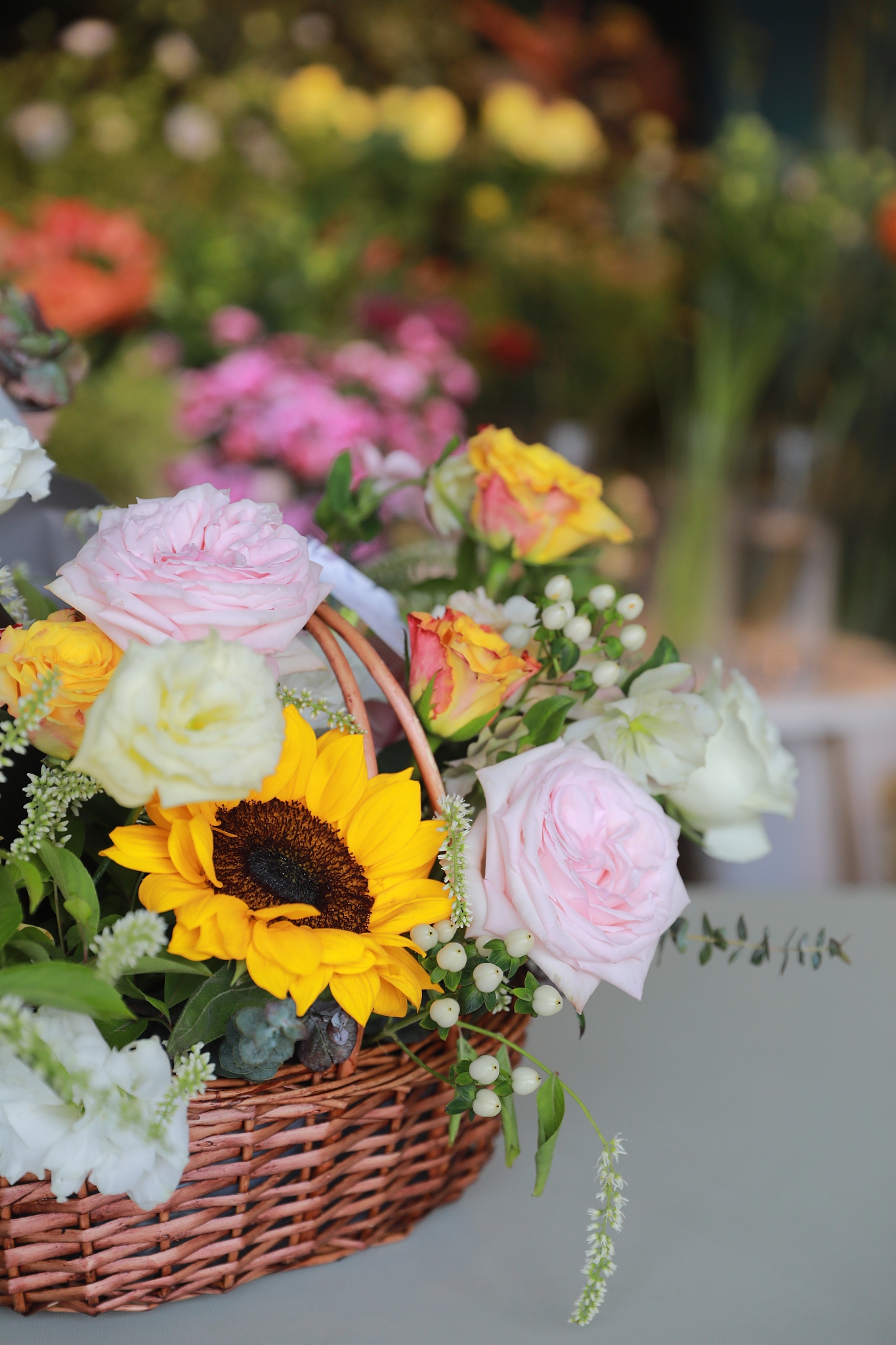 花卉展览朋友圈文案：文艺范满满