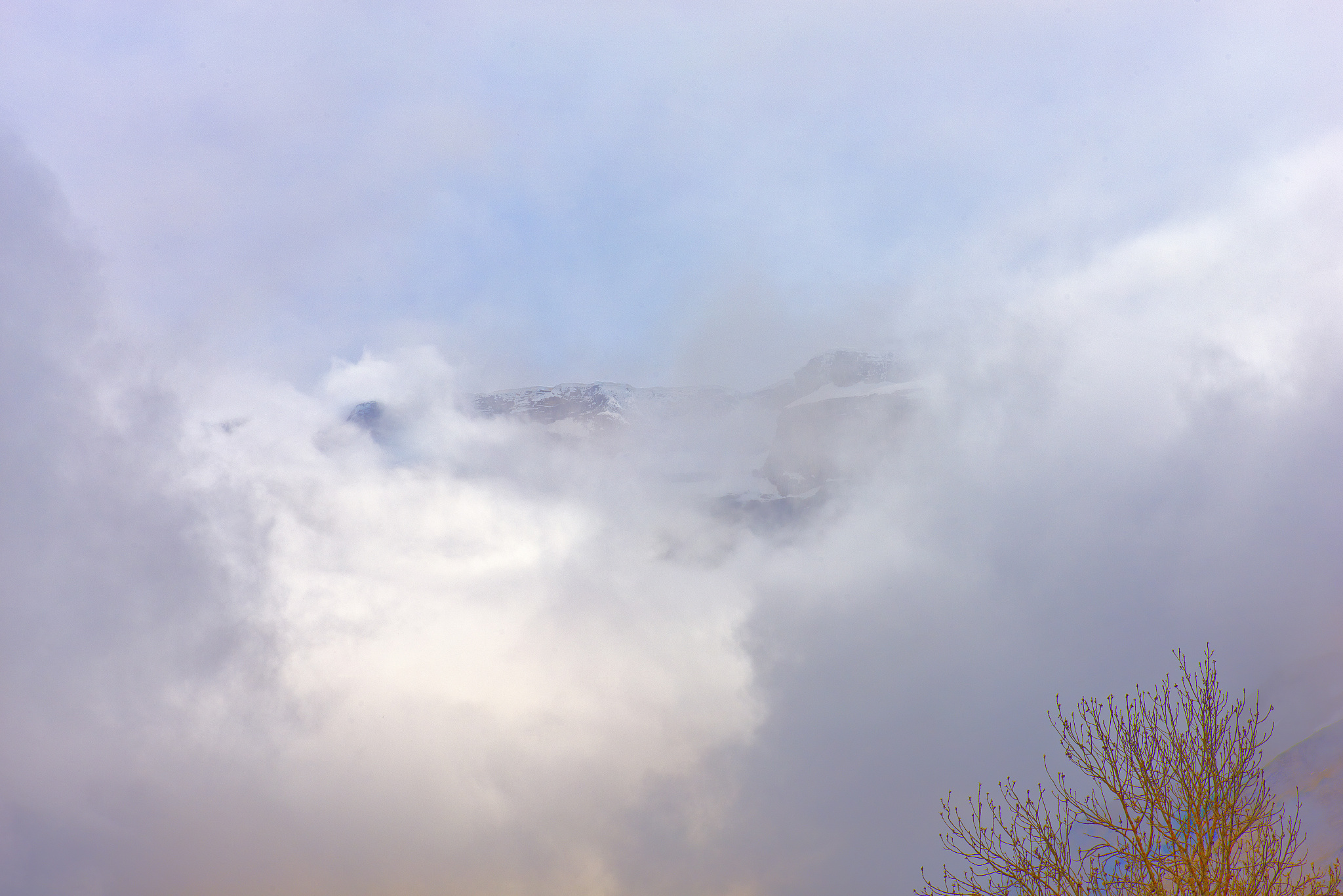 成都今日天气诗：春日暖阳，花开鸟鸣