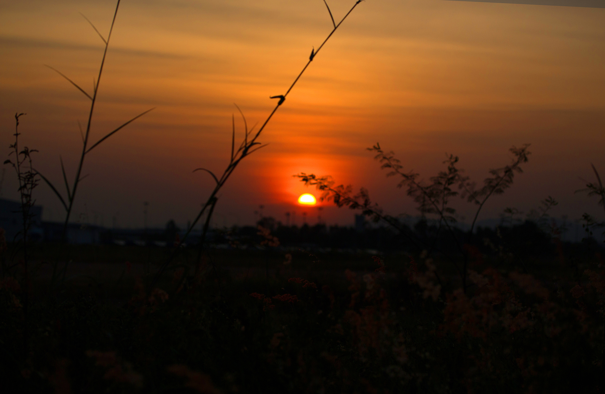 黄昏离家作一首诗