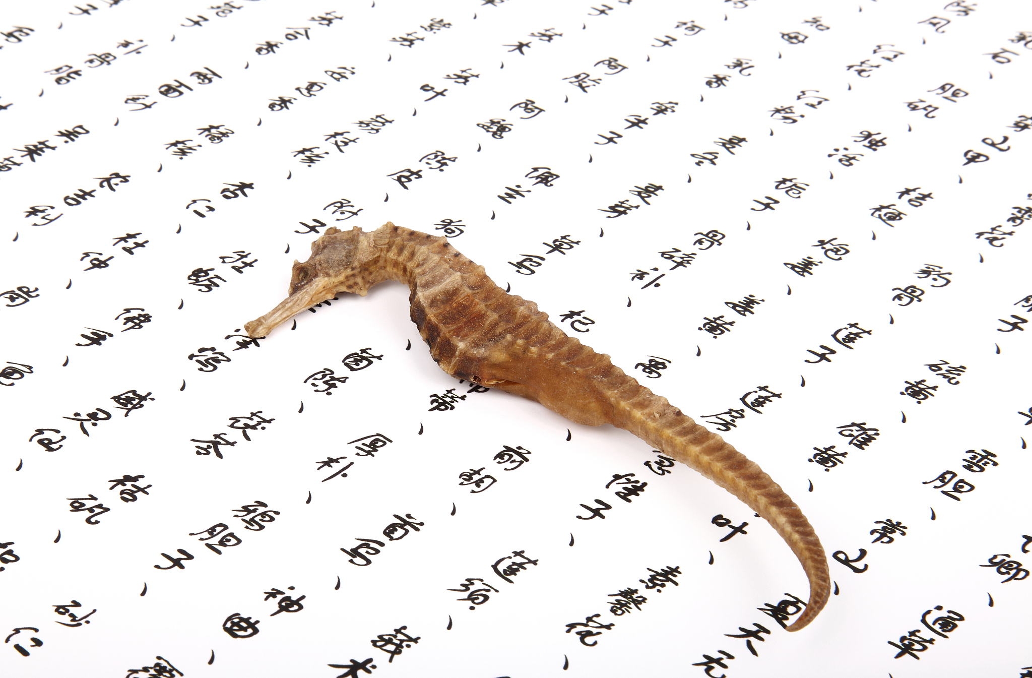 四川中医药高等专科学校地址和乘车路线 - 详细指南