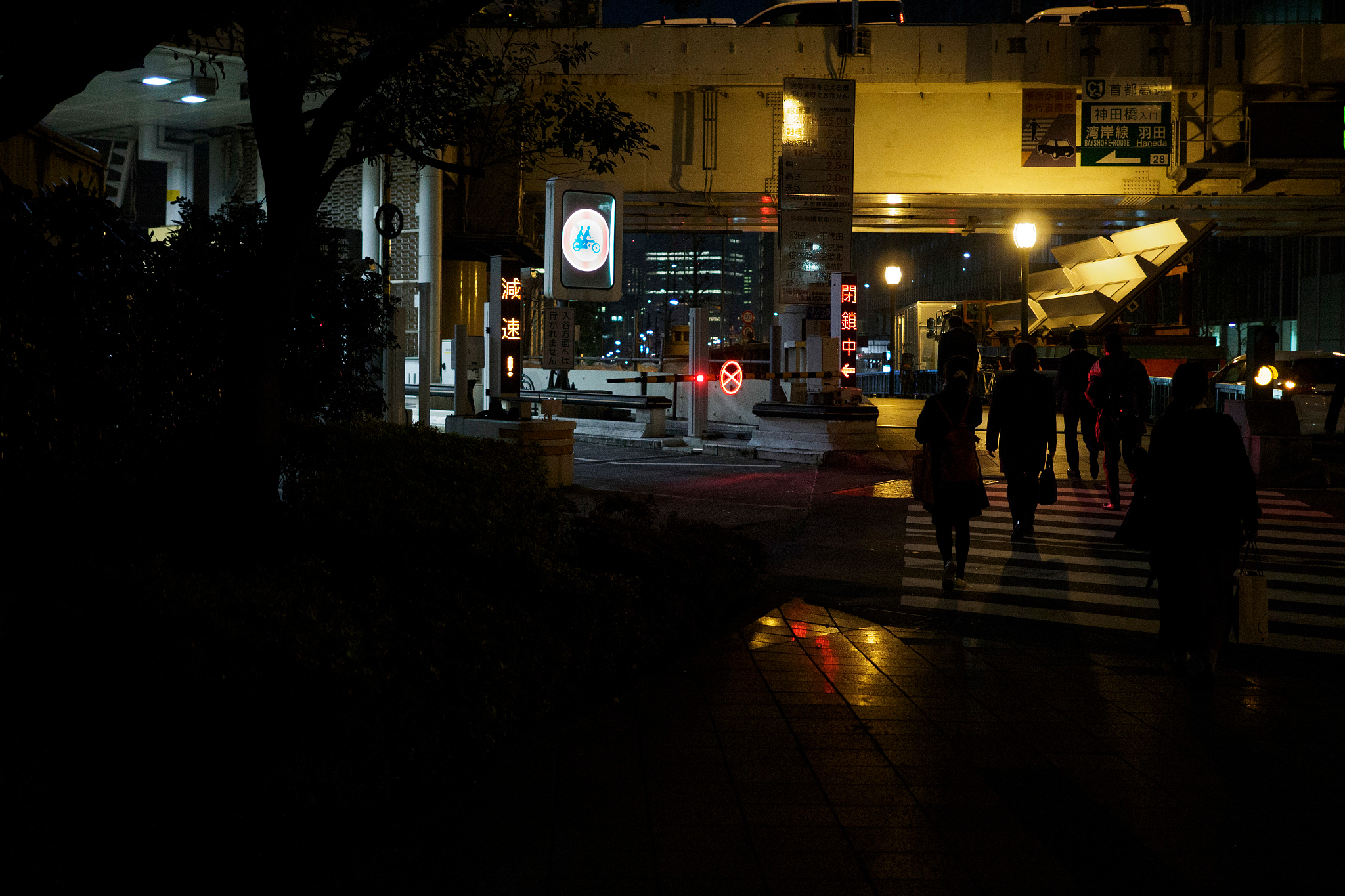 请以《行走间我发现了什么》为题写一篇700字记叙文