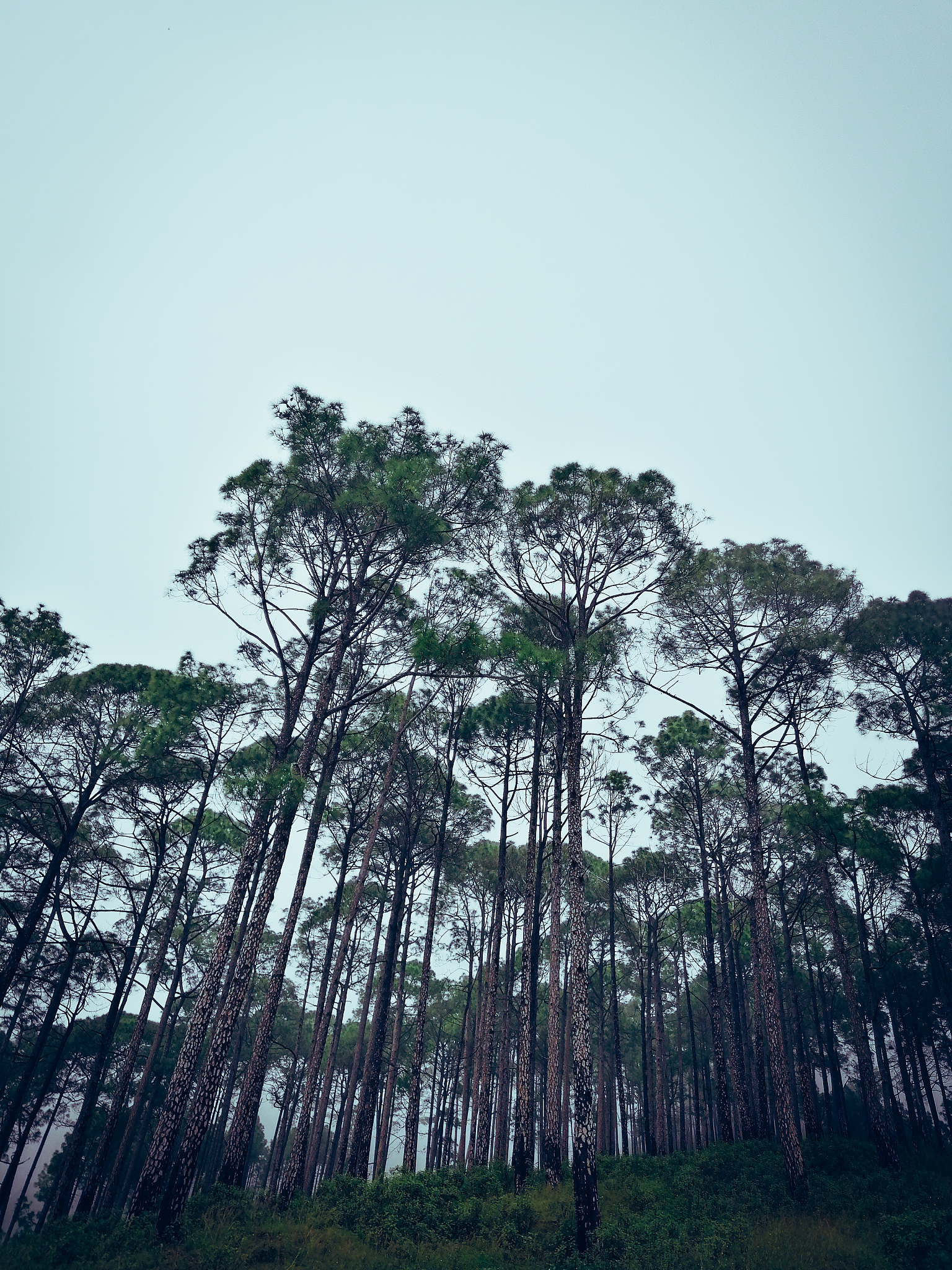 农业和森林气象学期刊: 研究范围与主题