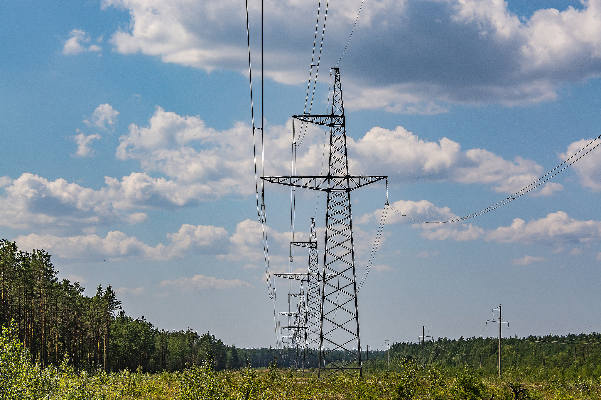 南宁职业技术学院投资与理财专业好就业吗