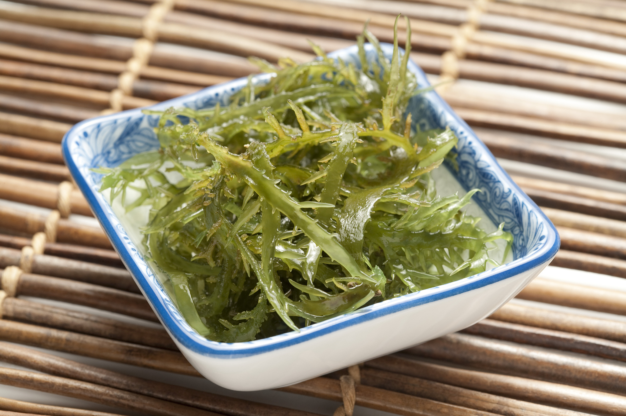 海藻