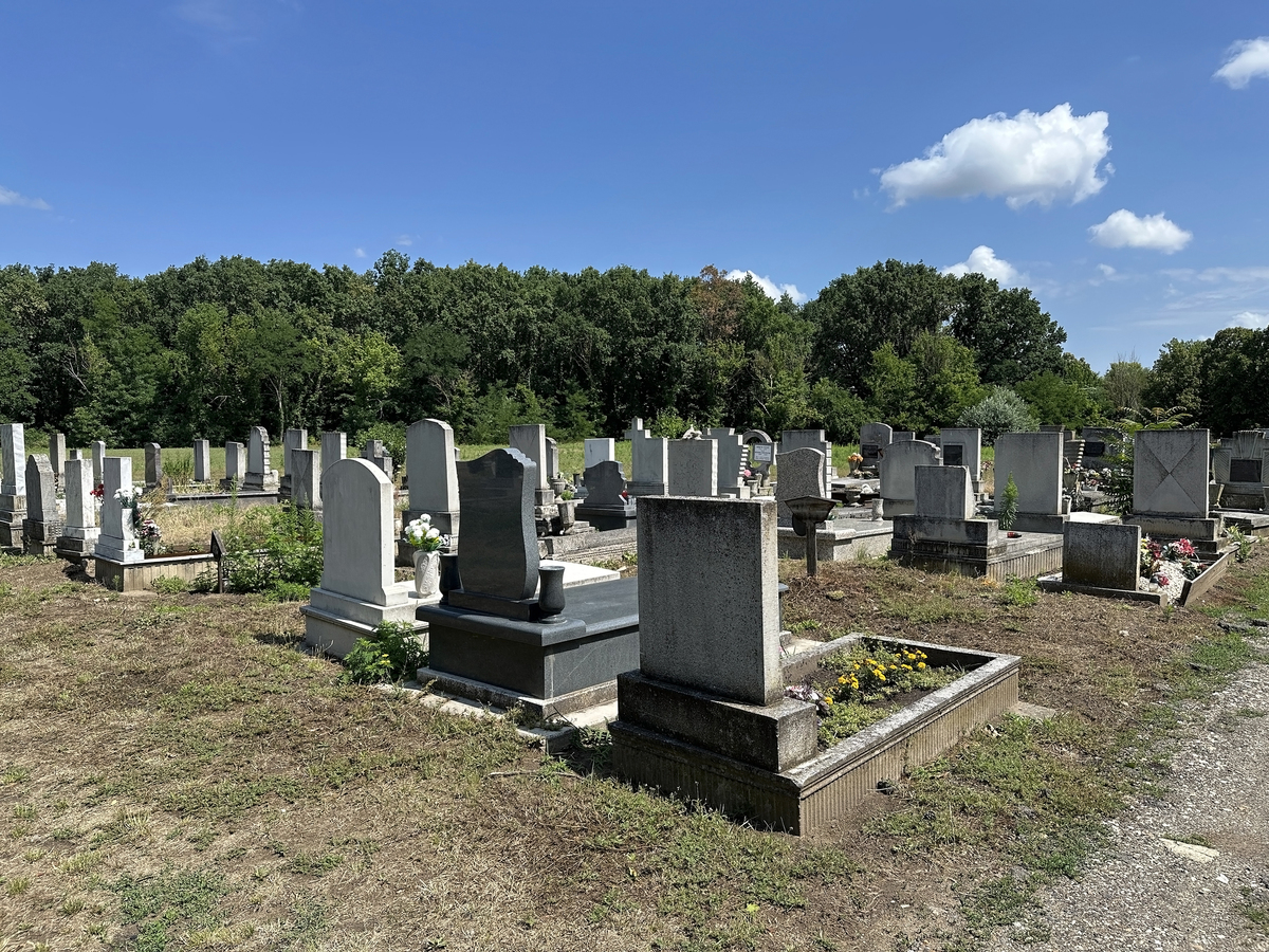 沈阳墓园离市区多远？回答加拓展