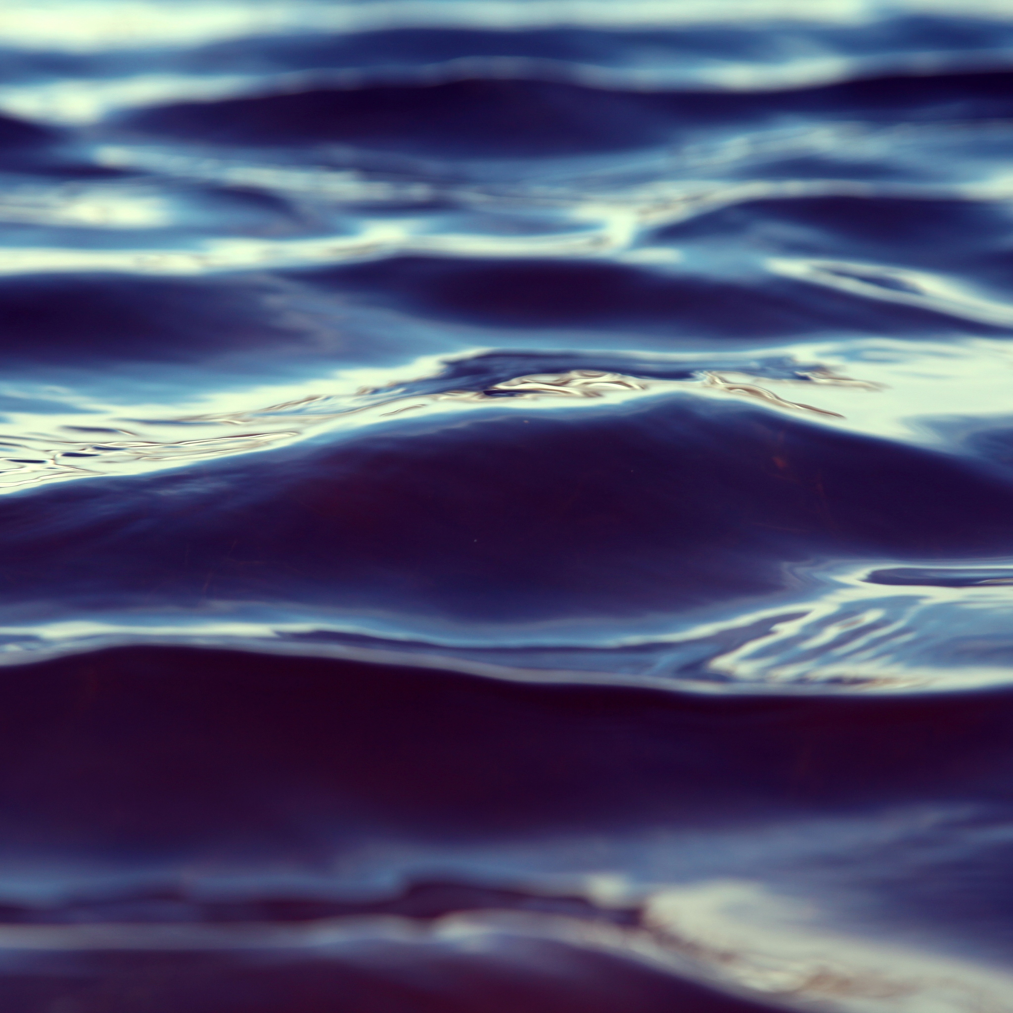 Wallhaven: Download Free High-Quality Wallpapers | 1 Million+ Images