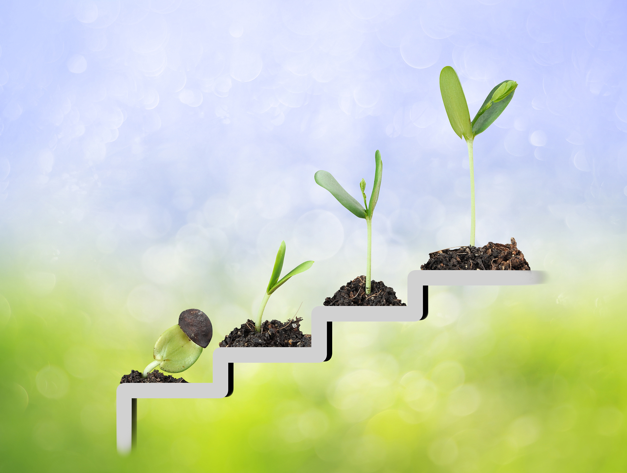 坚持的力量：成就希望、机会、能力和拥有