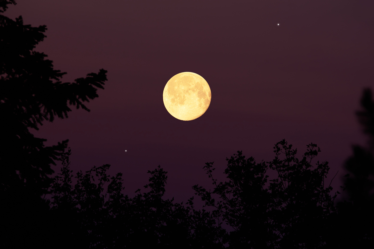 床前明月光疑是地上霜。 举头望明月低头思故乡。你能联想到什么样的画面用20个英语词语来描述