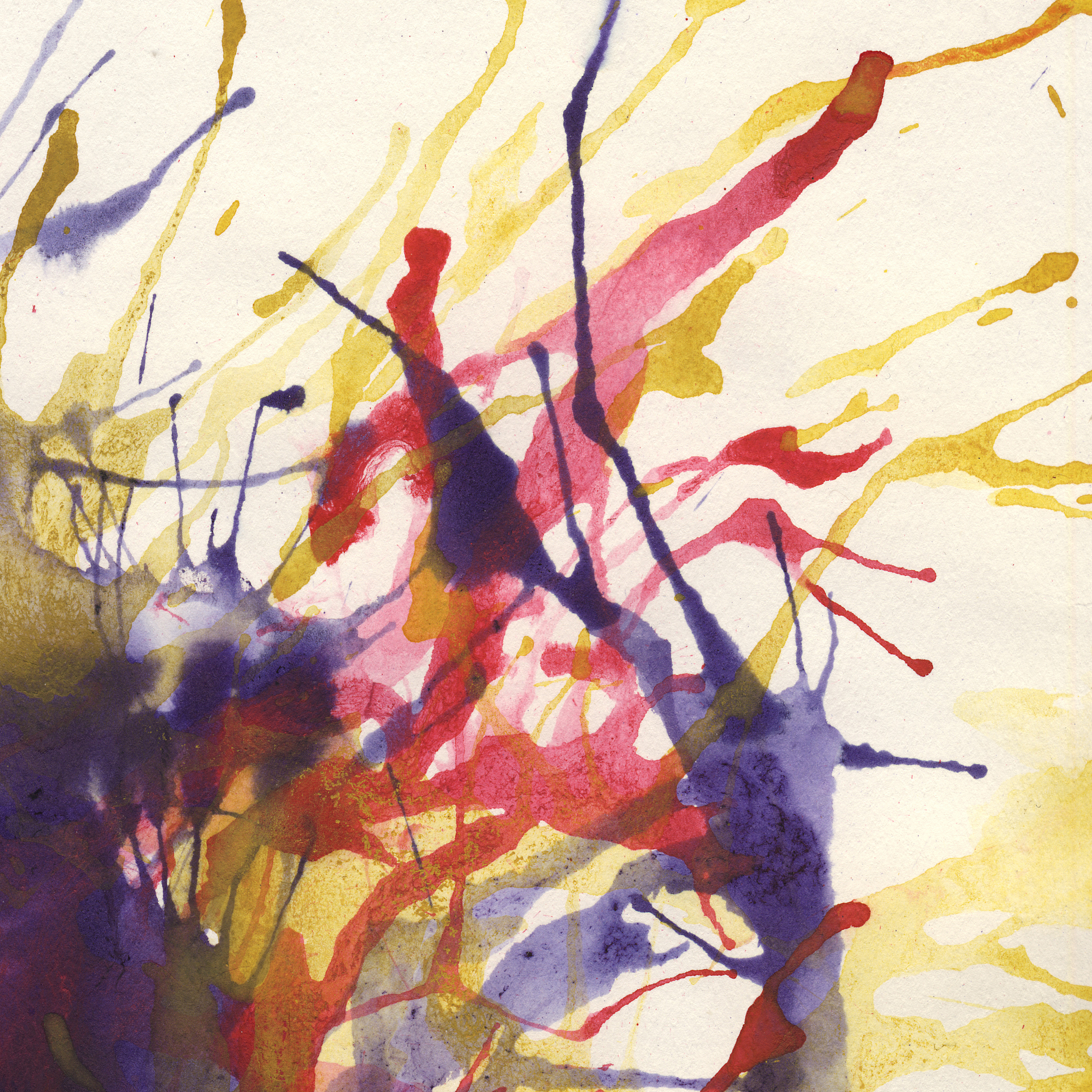 色彩的魅力：解析美术作品中的色彩运用