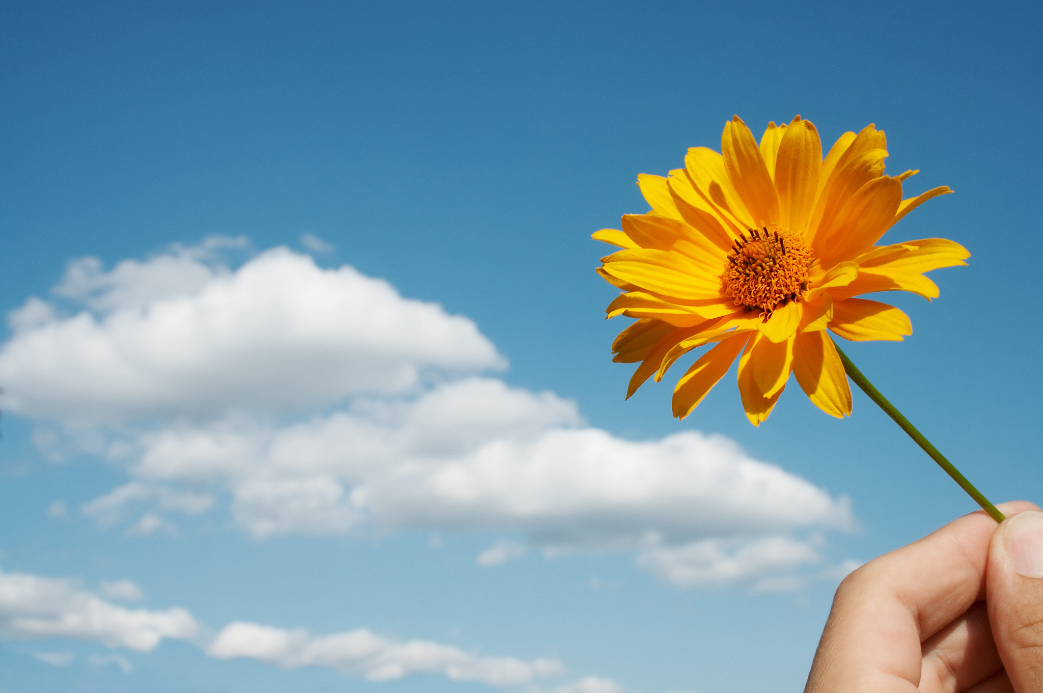 让心灵洒满阳光：点亮生命的光芒