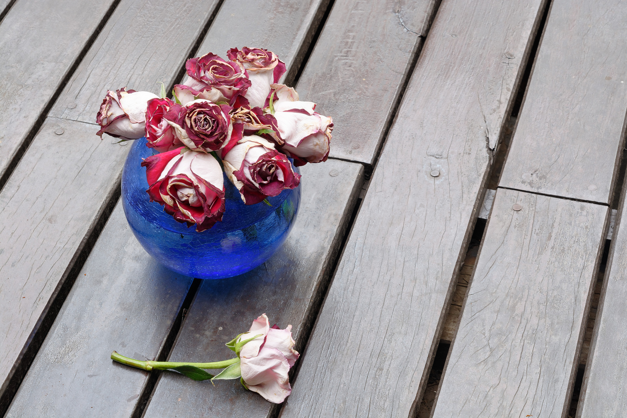 我们在日常使用中怎么快速的判断出纺织品色牢度的好差呢不少于500字