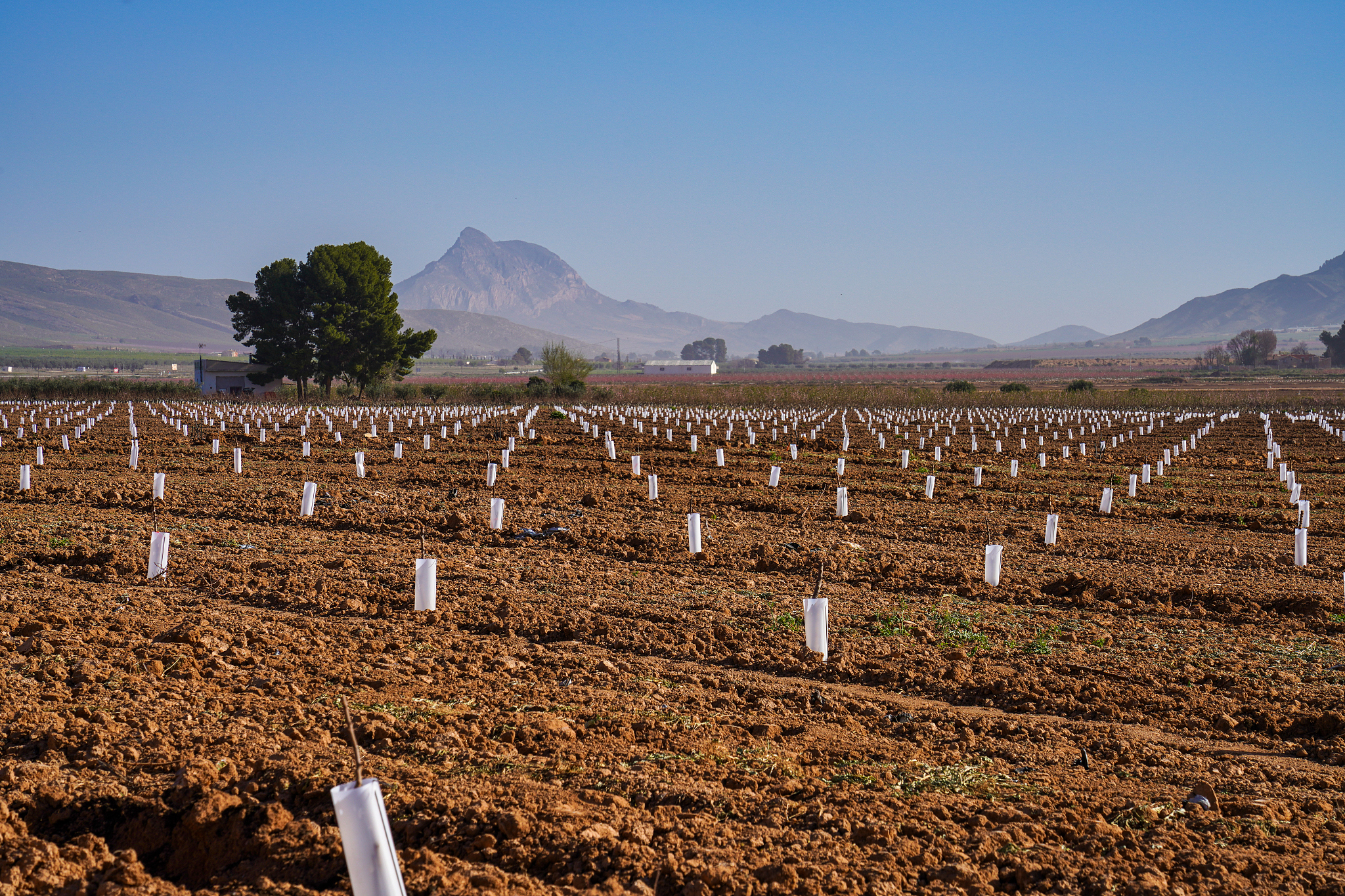 曲靖市农业专业学校2019年五年制招生专业地址