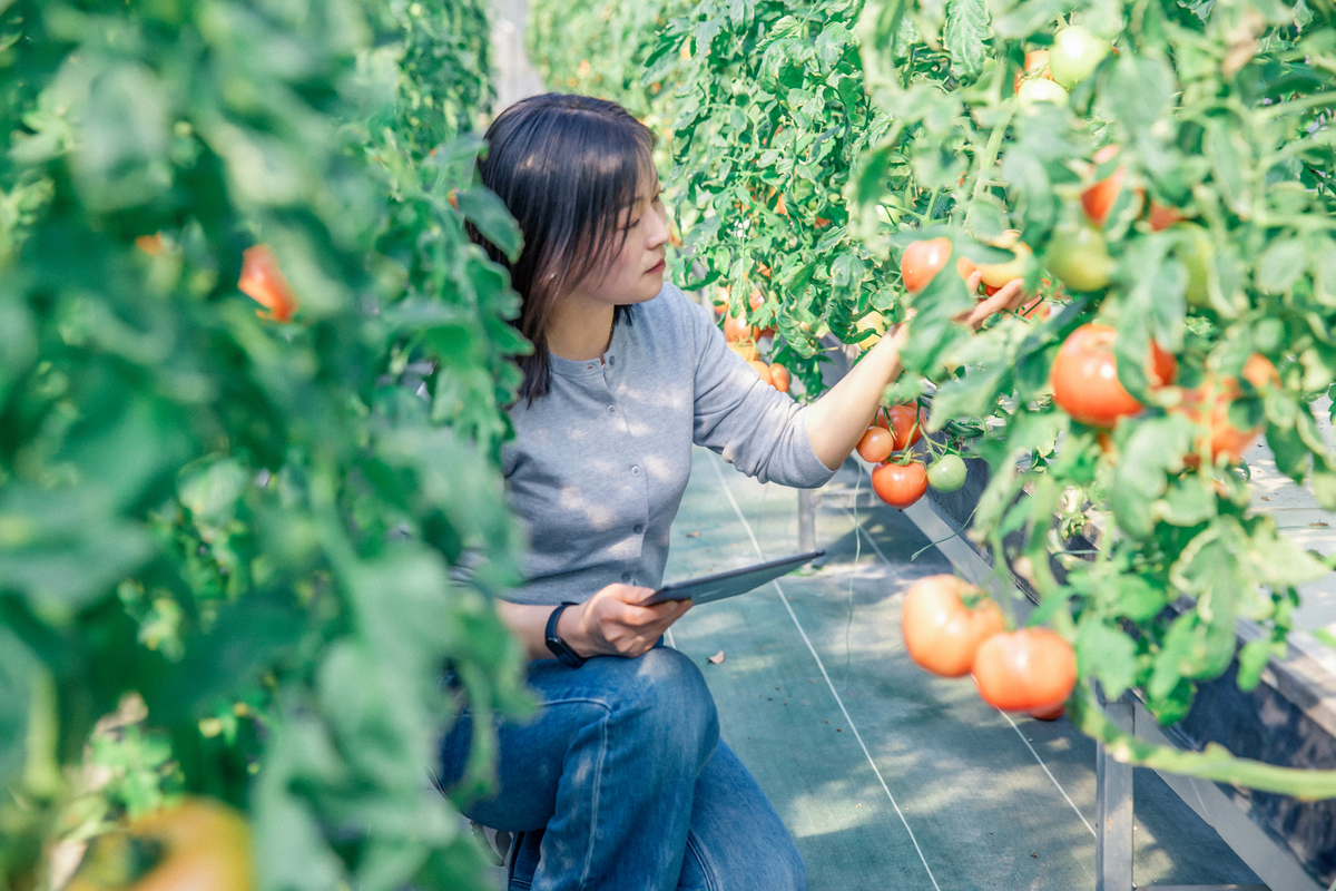 初夏：充满生机与希望的季节