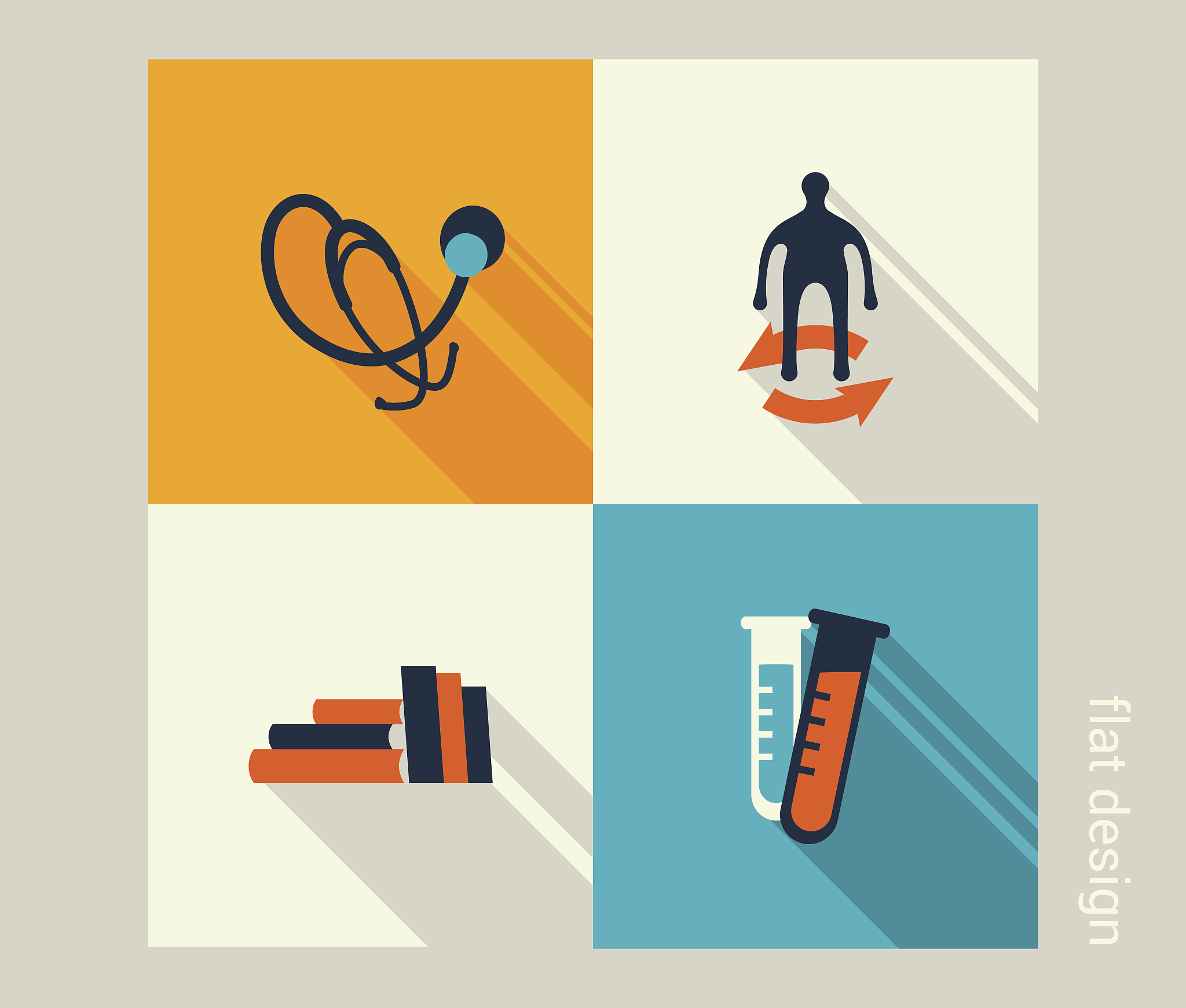 观察不同光照条件下空心菜的生长情况实验探究活动目的