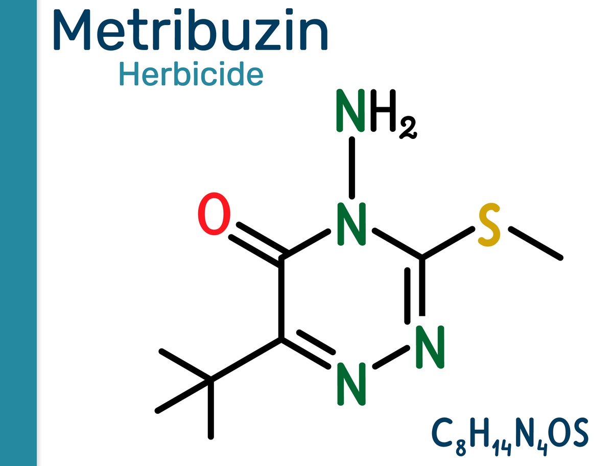 Write a 10000-word literature review about Catalyst for selective hydrogenation of acetylene Write a 10000-word literature review about Catalyst for selective hydrogenation of acetylene