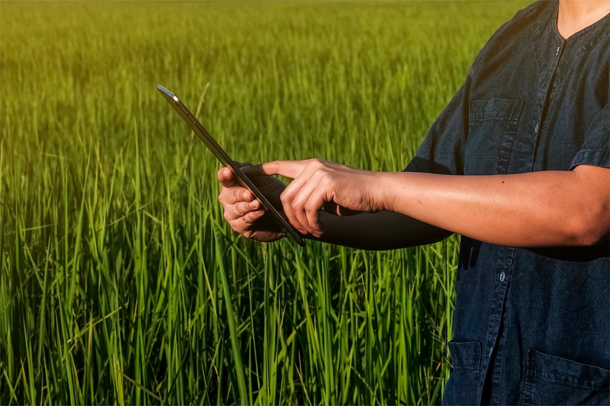 广西梧州农业学校计算机应用专业怎么样？好就业吗？