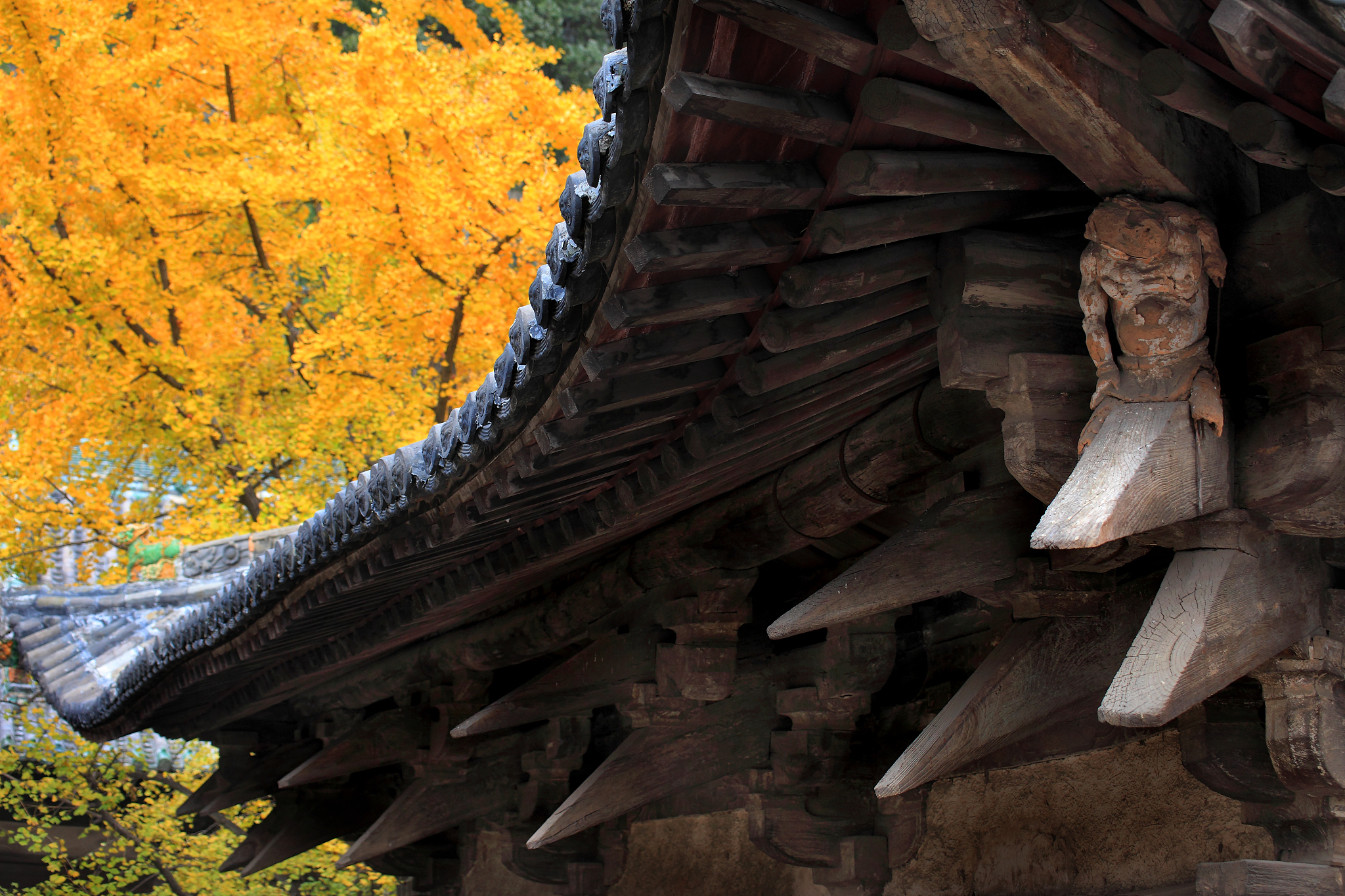 宋代木构古建筑 山西 青莲寺