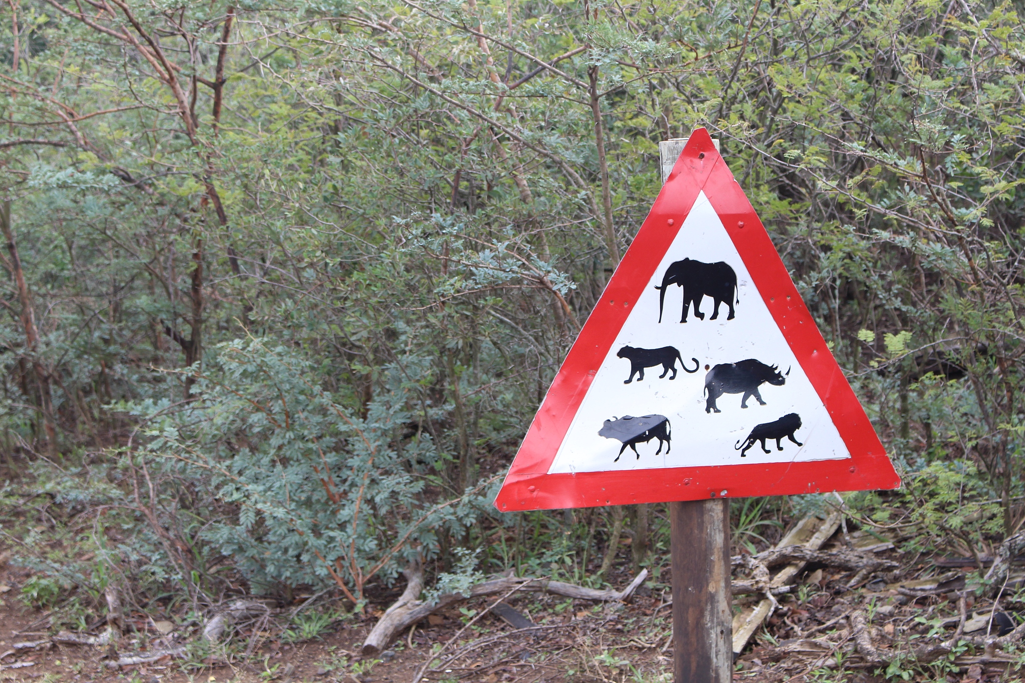 保护濒危物种：方法与策略