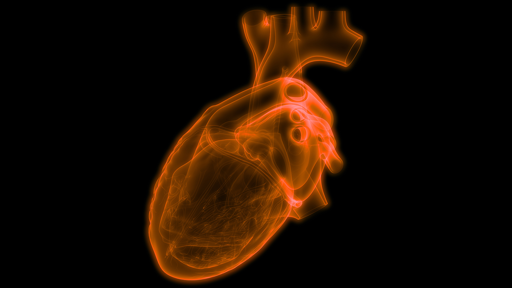 运动生理学重点知识概括：能量代谢、心血管、呼吸系统等