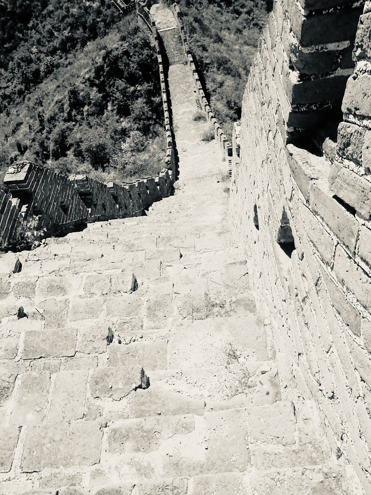 行万里路与实践：如何将理论转化为行动