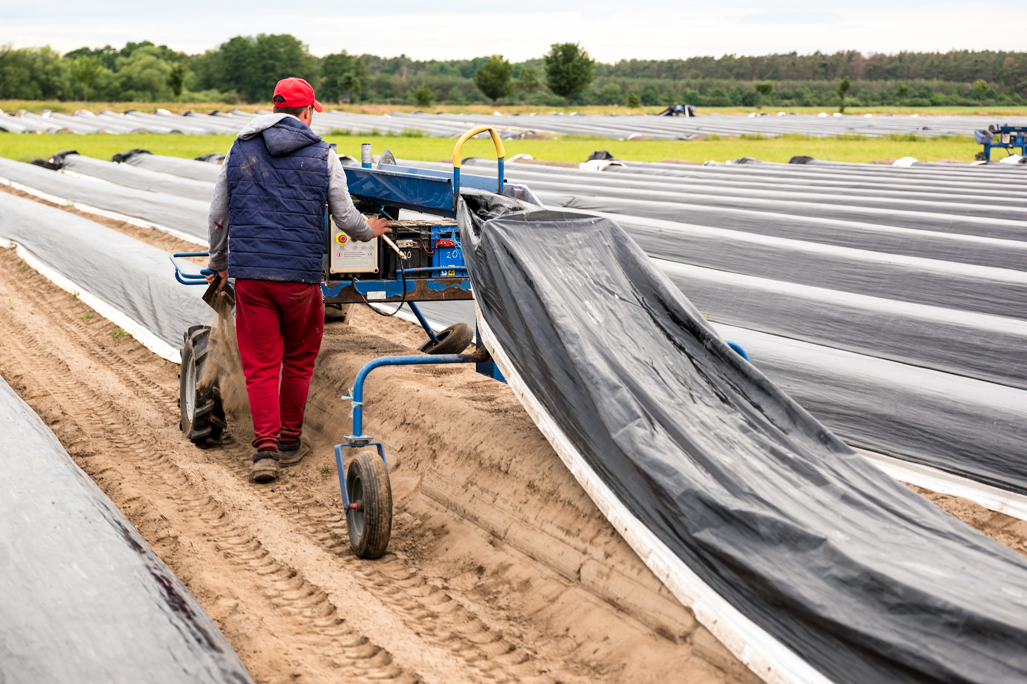 凉山州农业学校绘画专业优势及发展前景