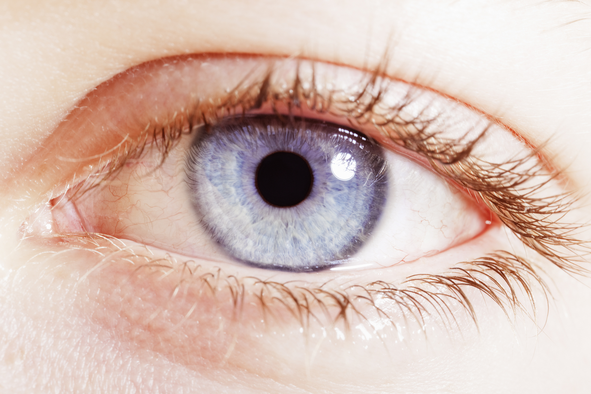 extreme close up of blue eye