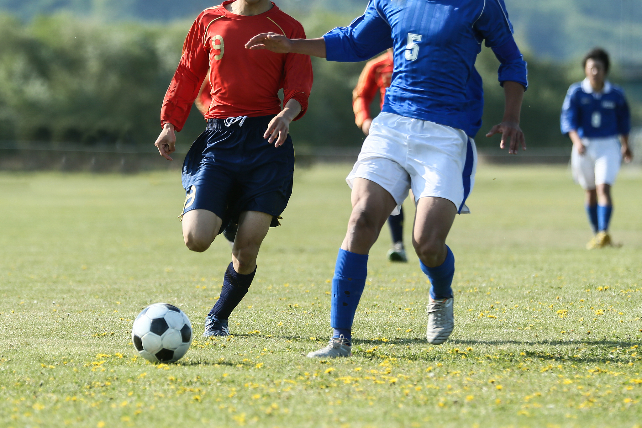 soccer