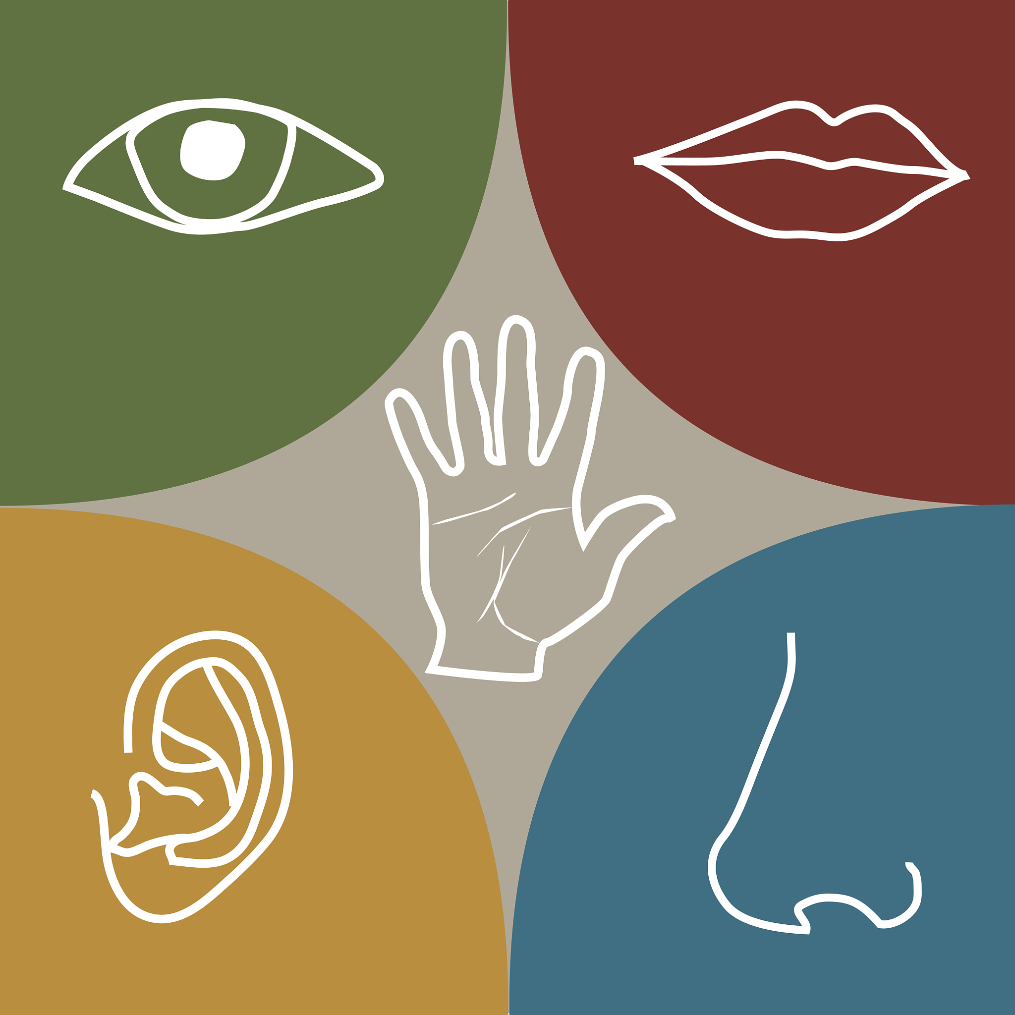 视觉听觉嗅觉味觉触觉属于什么描写