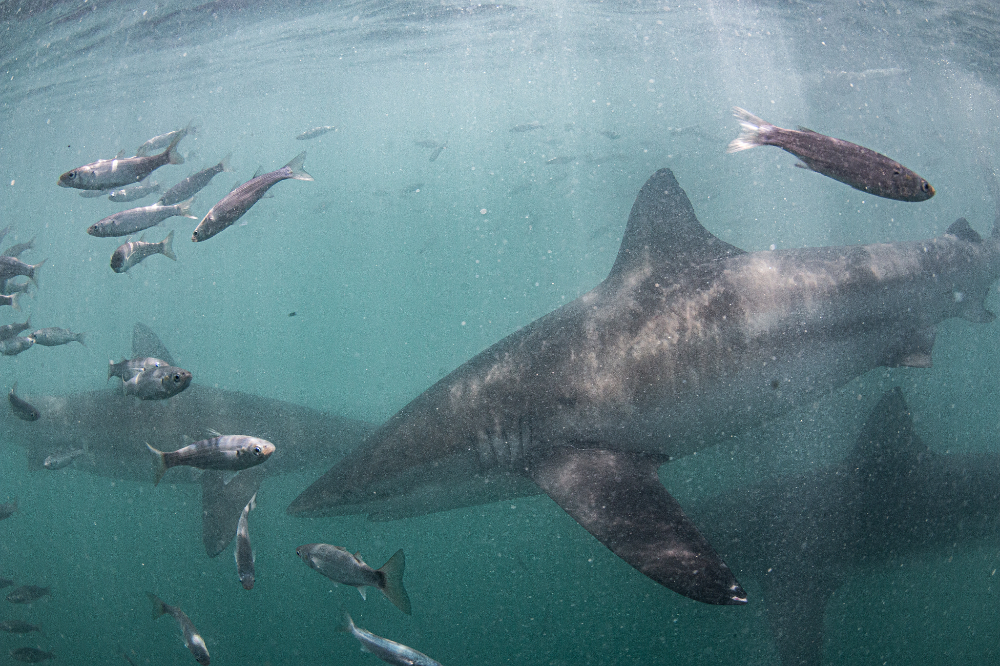 泉州海洋职业学院招生专业-培养未来海洋人才的摇篮