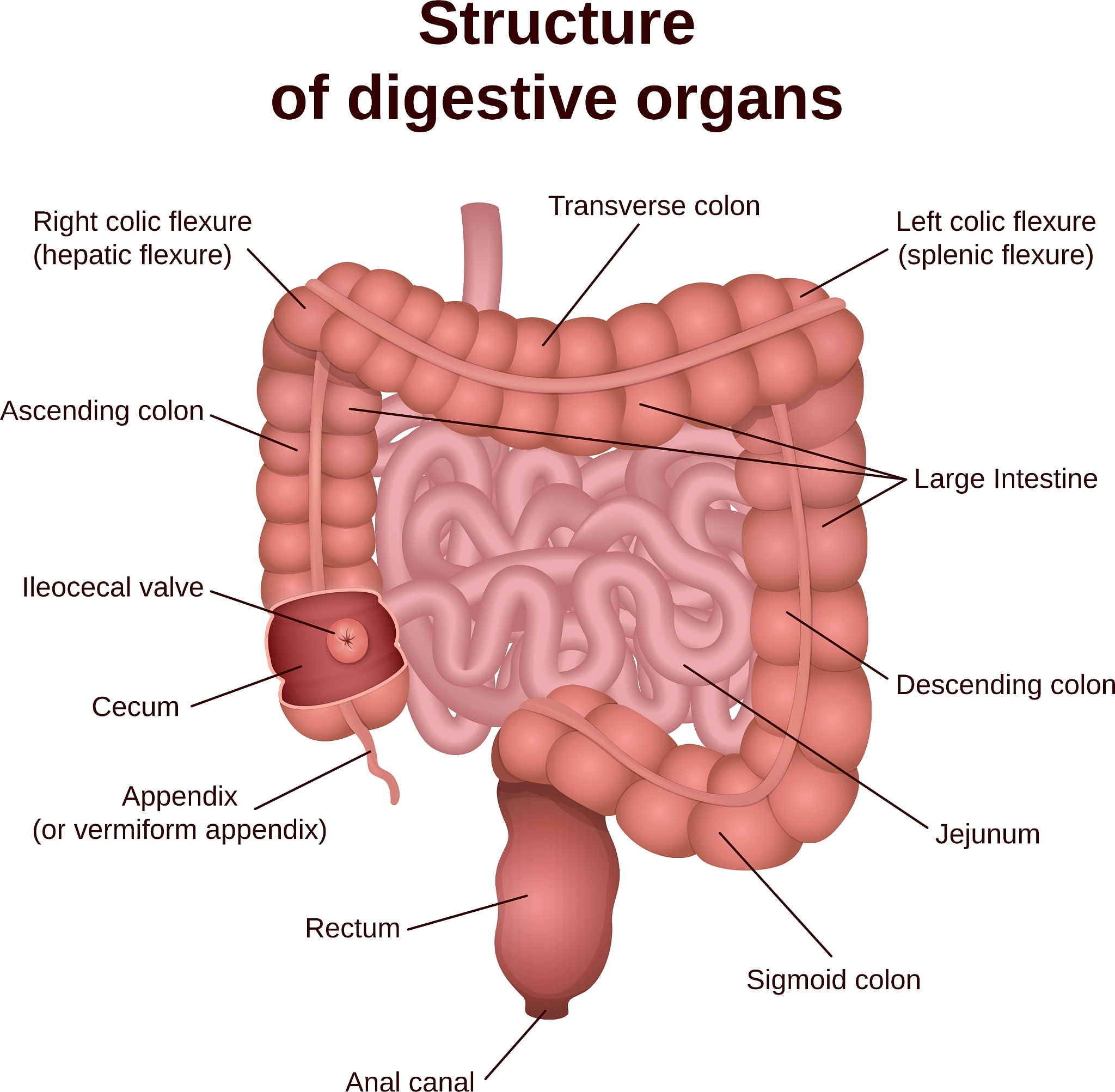 福能源的石榴沙棘钙可以预防哪些疾病？