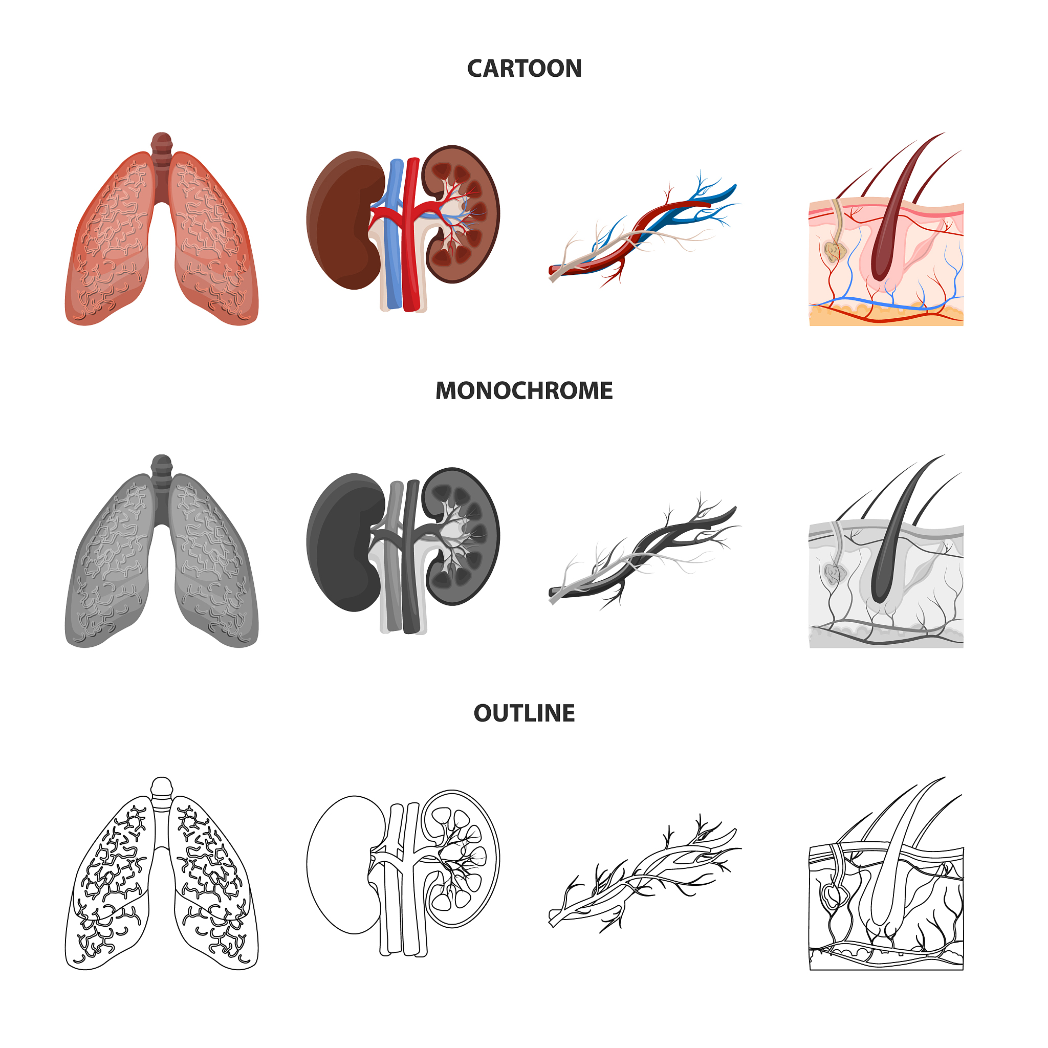 右肺腺癌术后呼吸衰竭伴肌肉脓肿患者疼痛护理策略