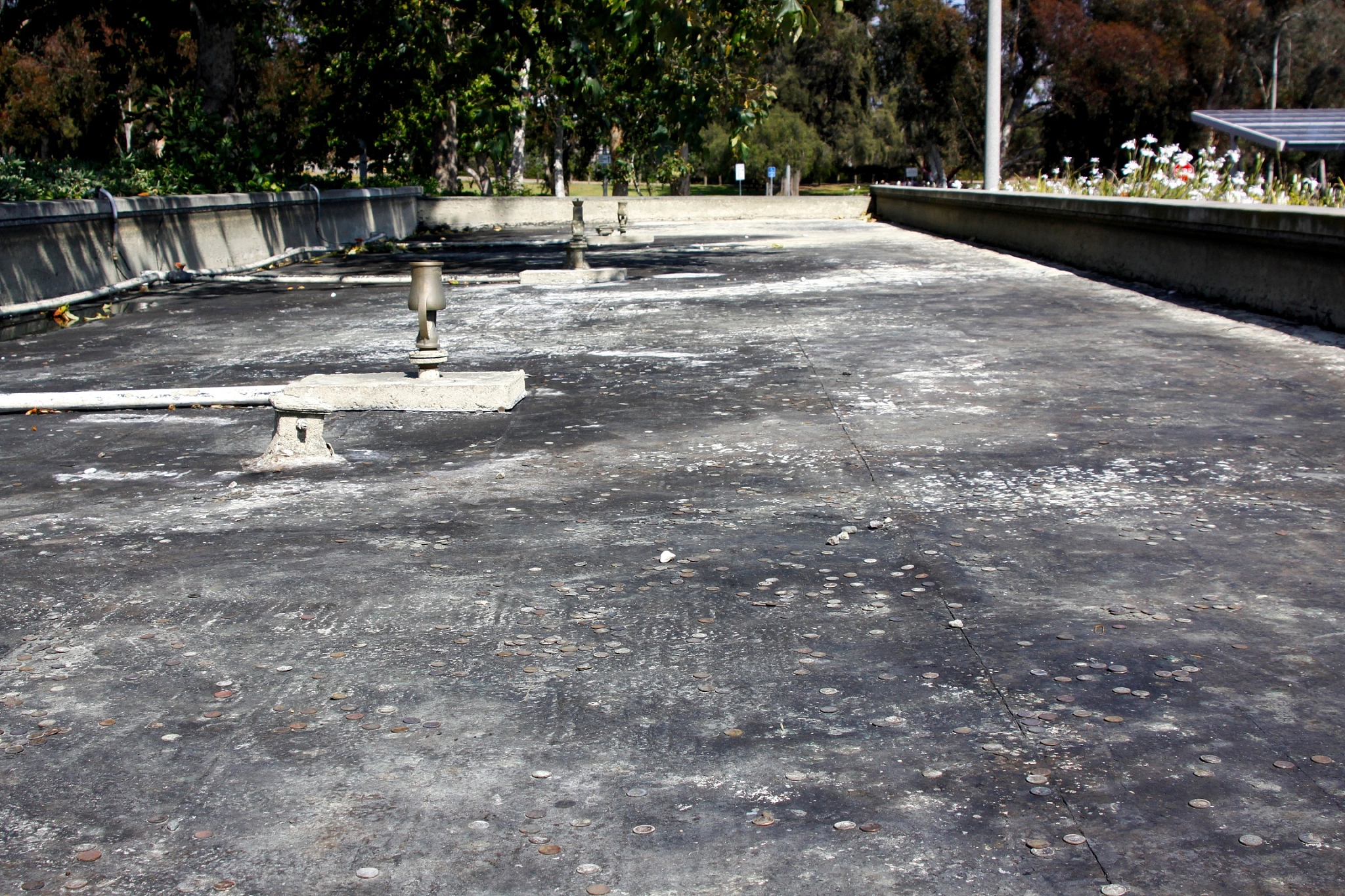 节约用水，从我做起：看图写话 300字