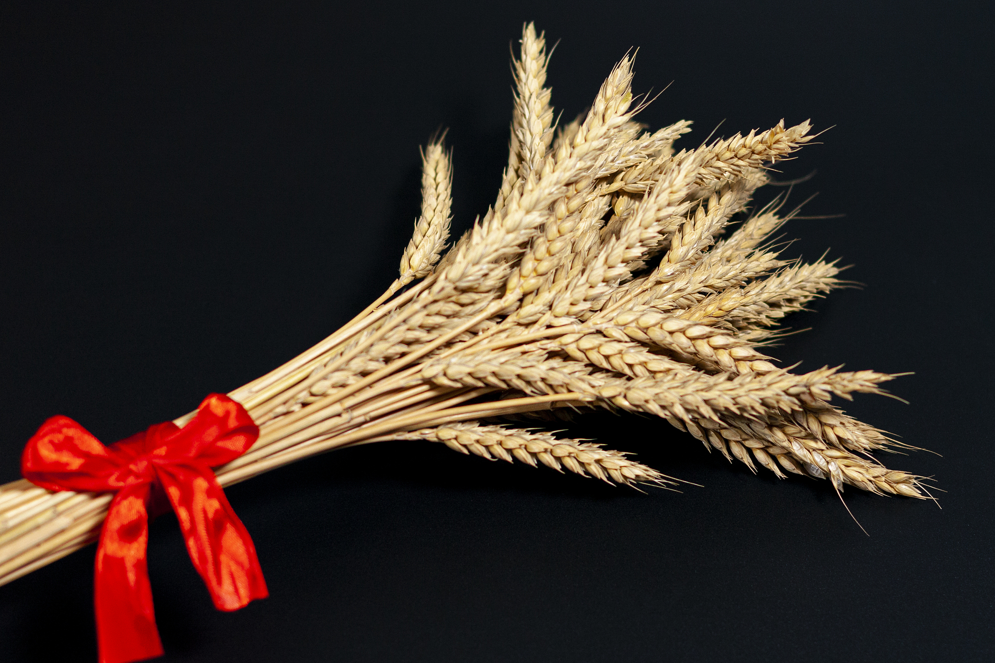 遵义医药高等专科学校中药专业怎么样