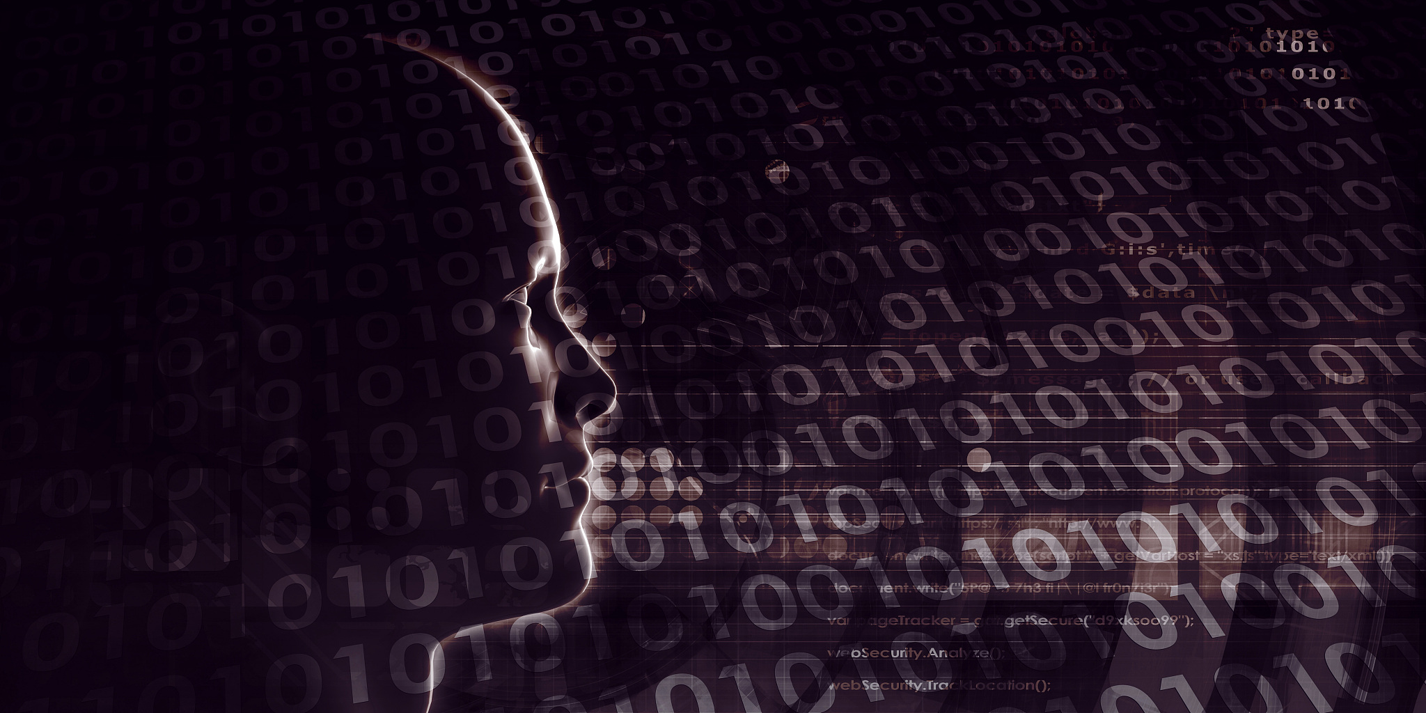 西北农林科技大学的电子信息工程专业有没有行业前景