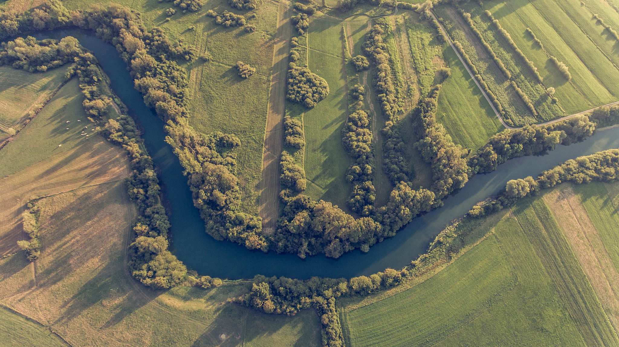 river bend surrounded by fields from bird's eye view.