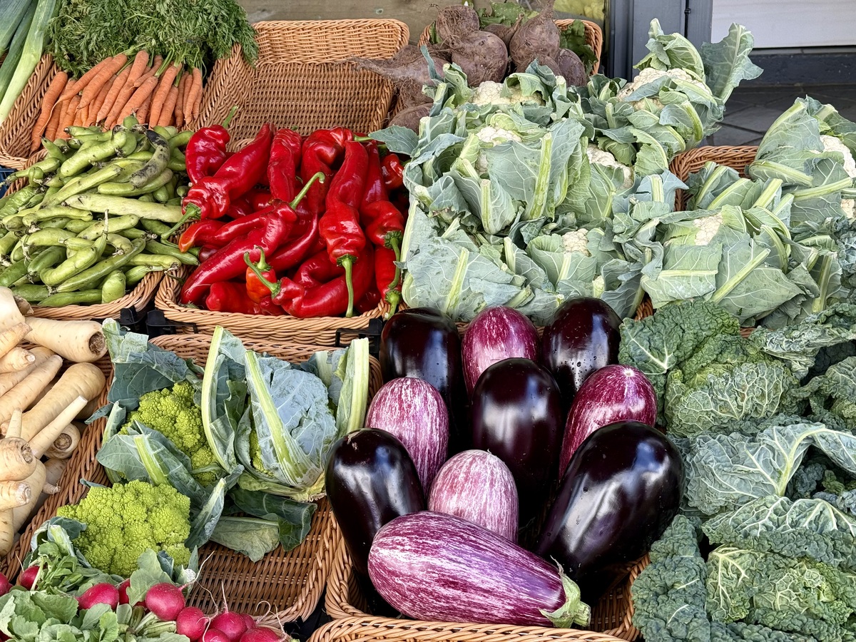 哪些蔬菜不打农药不施化肥依然产量很高