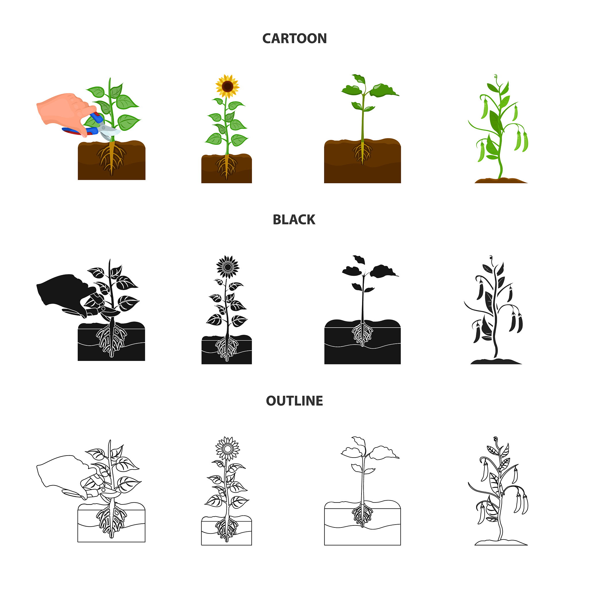 植物化学保护摘要：利用植物化学成分防治病虫害