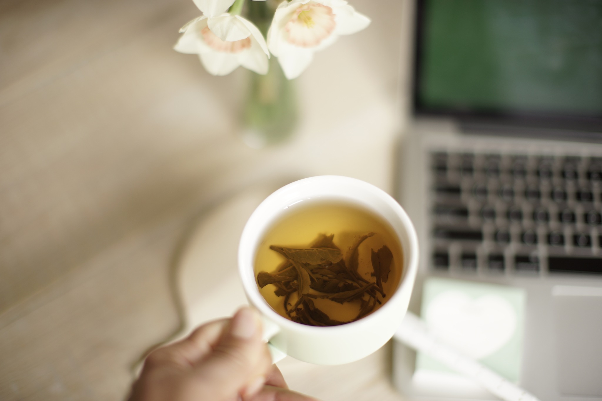 贵州省茶技术茶文化中等专业学校2019年招生简章